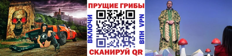 Галлюциногенные грибы Cubensis  Шацк 