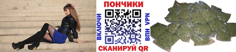 Бошки Шишки планчик  Шацк 